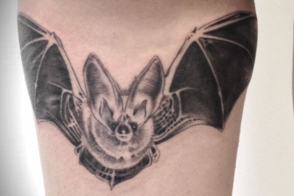 Photo d'un tatouage realiste de chauve souris